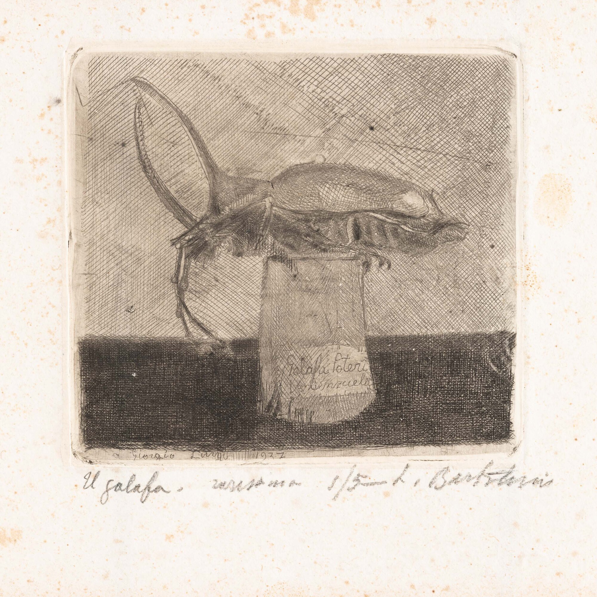 Luigi Bartolini - Galofa