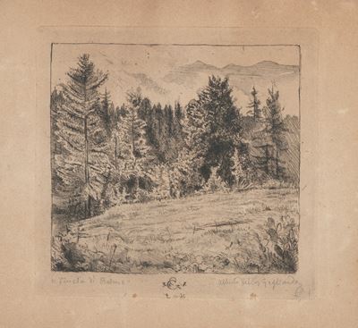 Alberto Helios Gagliardo (1893-1987) Pineta di Balme