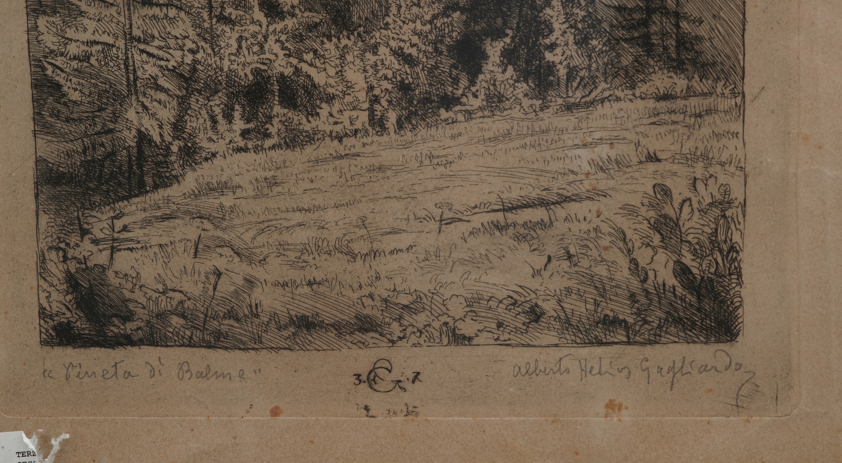 Alberto Helios Gagliardo (1893-1987) Pineta di Balme