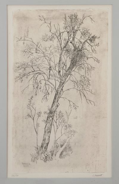 Oscar Saccorotti (1898-1986) Albero, 1970