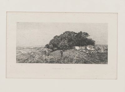 Serafino De Avendano (1838-1916) Vicinanze di Genova