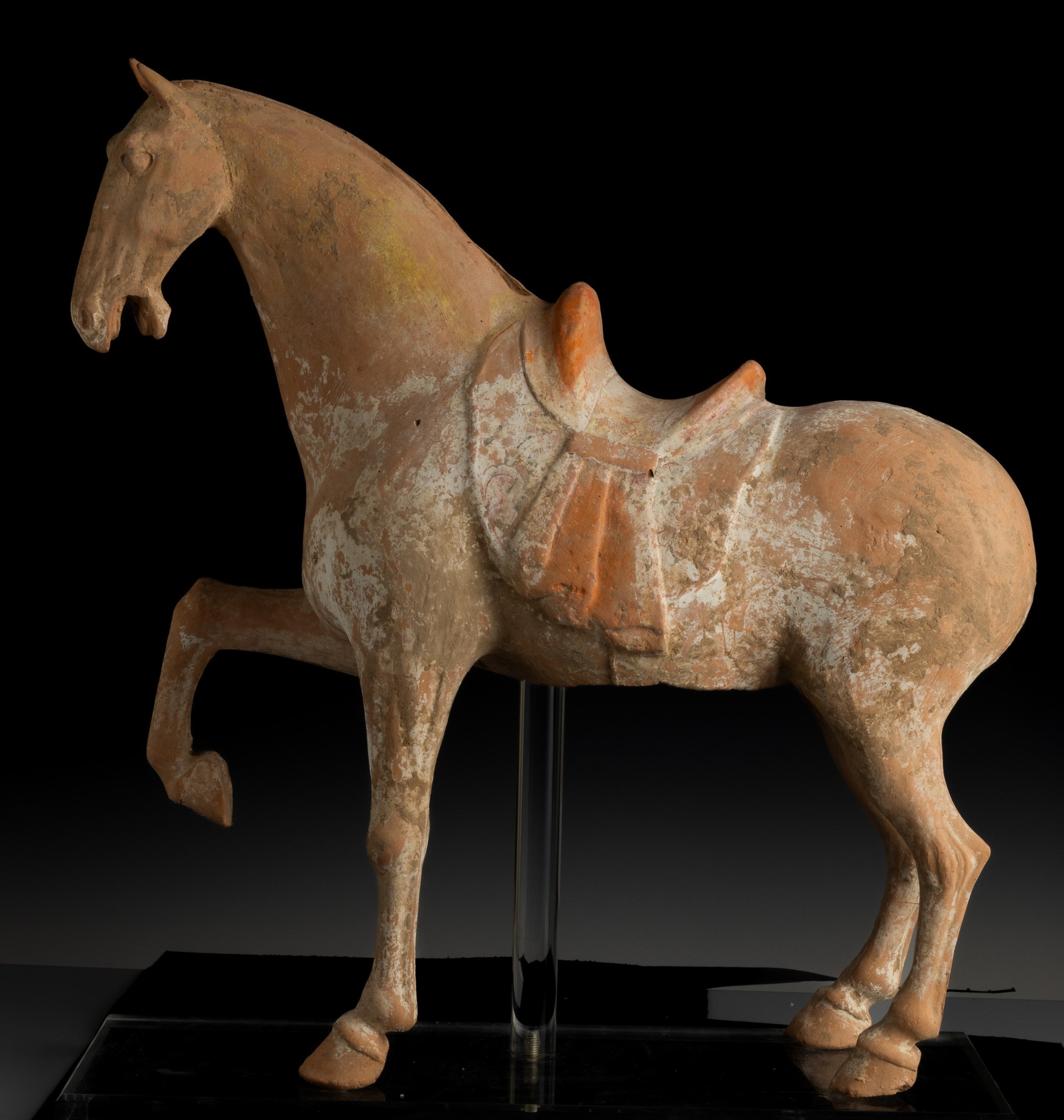 Figura di Cavallo in Terracotta con Tracce di Policromia, Cina, Dinastia Tang (618-906)