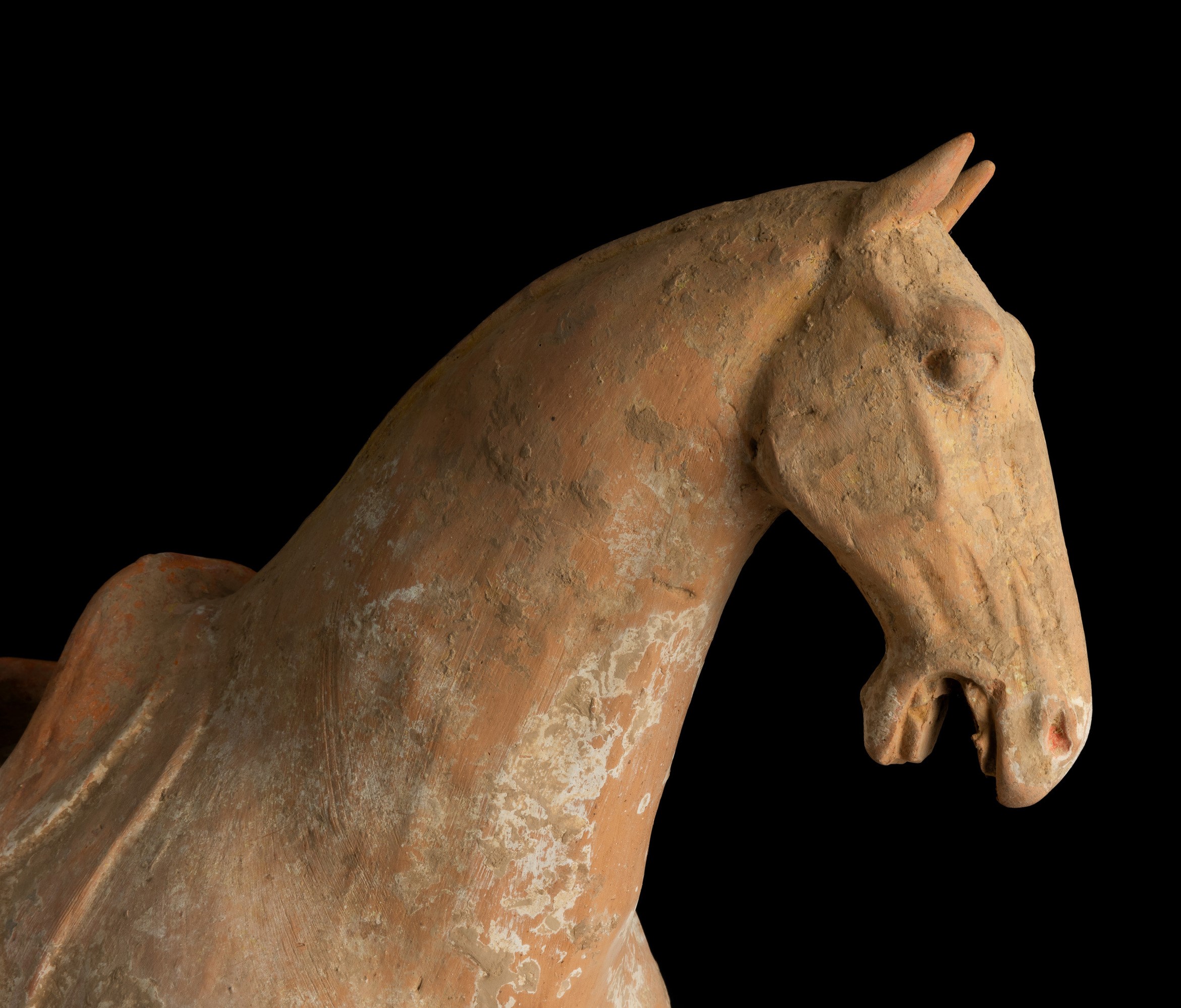 Figura di Cavallo in Terracotta con Tracce di Policromia, Cina, Dinastia Tang (618-906)