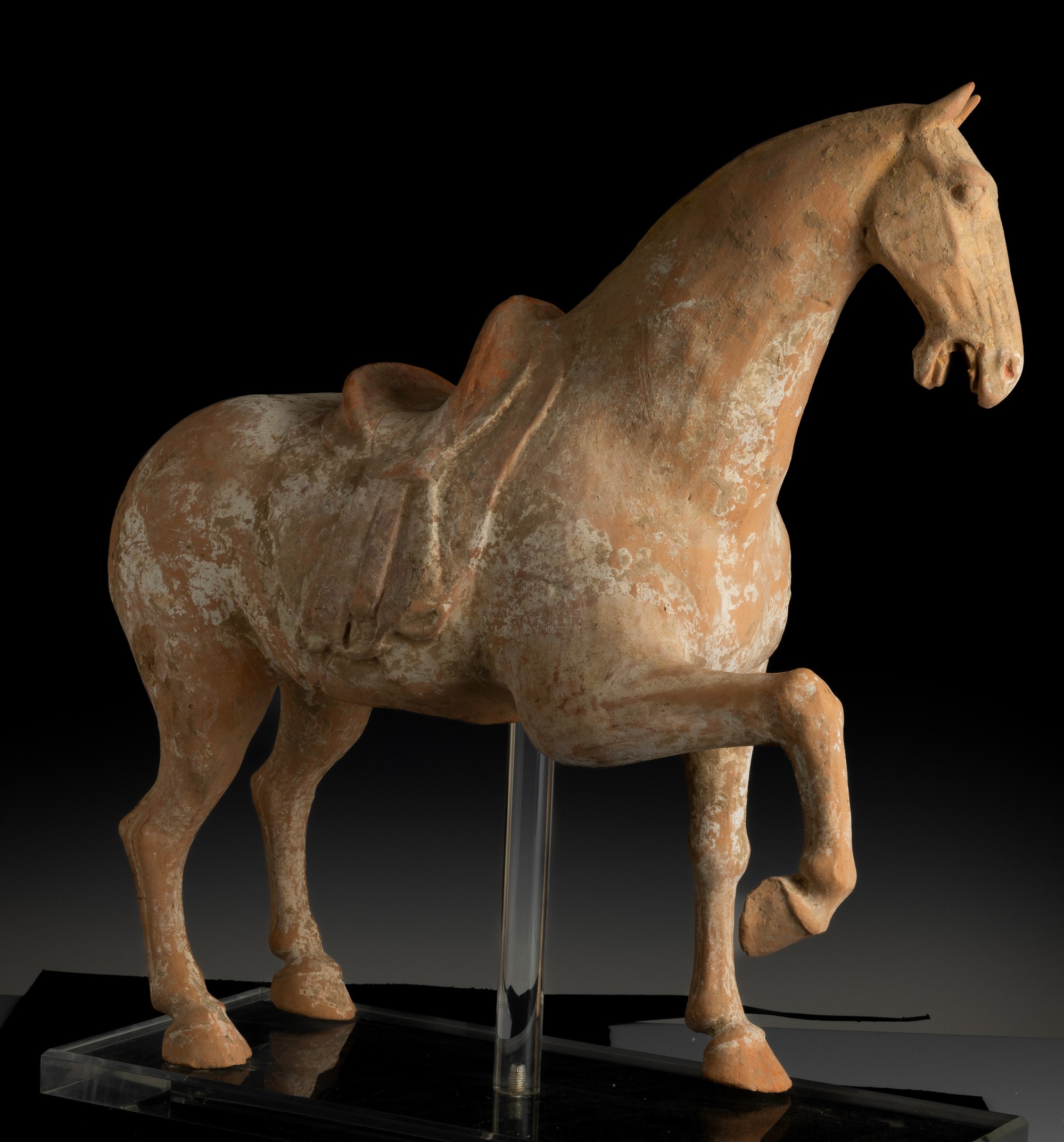 Figura di Cavallo in Terracotta con Tracce di Policromia, Cina, Dinastia Tang (618-906)