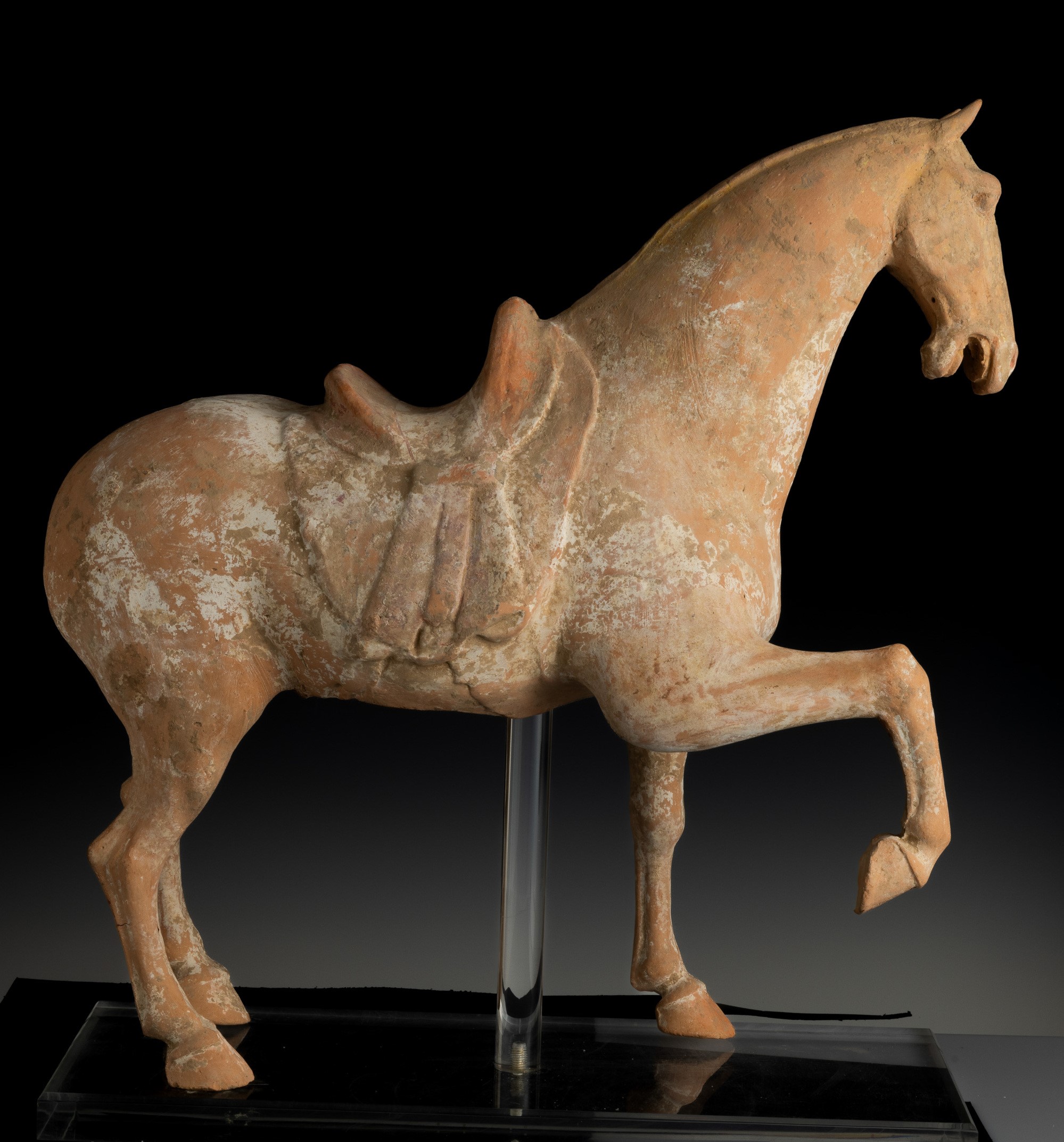 Figura di Cavallo in Terracotta con Tracce di Policromia, Cina, Dinastia Tang (618-906)