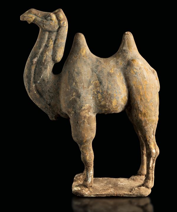 Figura di cammello in terracotta con tracce di policromia, Cina, Dinastia Tang (618-906)