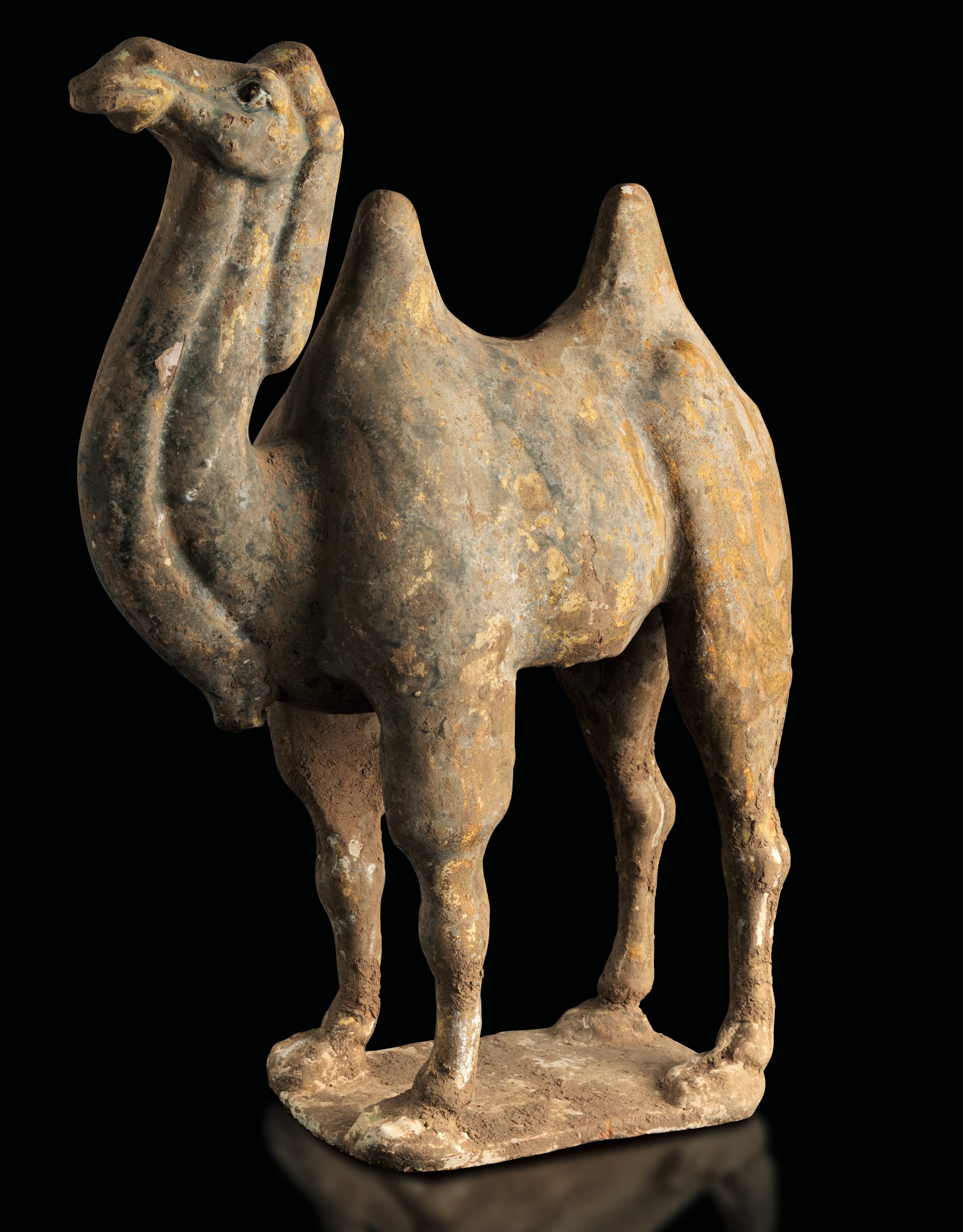 Figura di Cammello in Terracotta con Tracce di Policromia, Cina, Dinastia Tang (618-906)