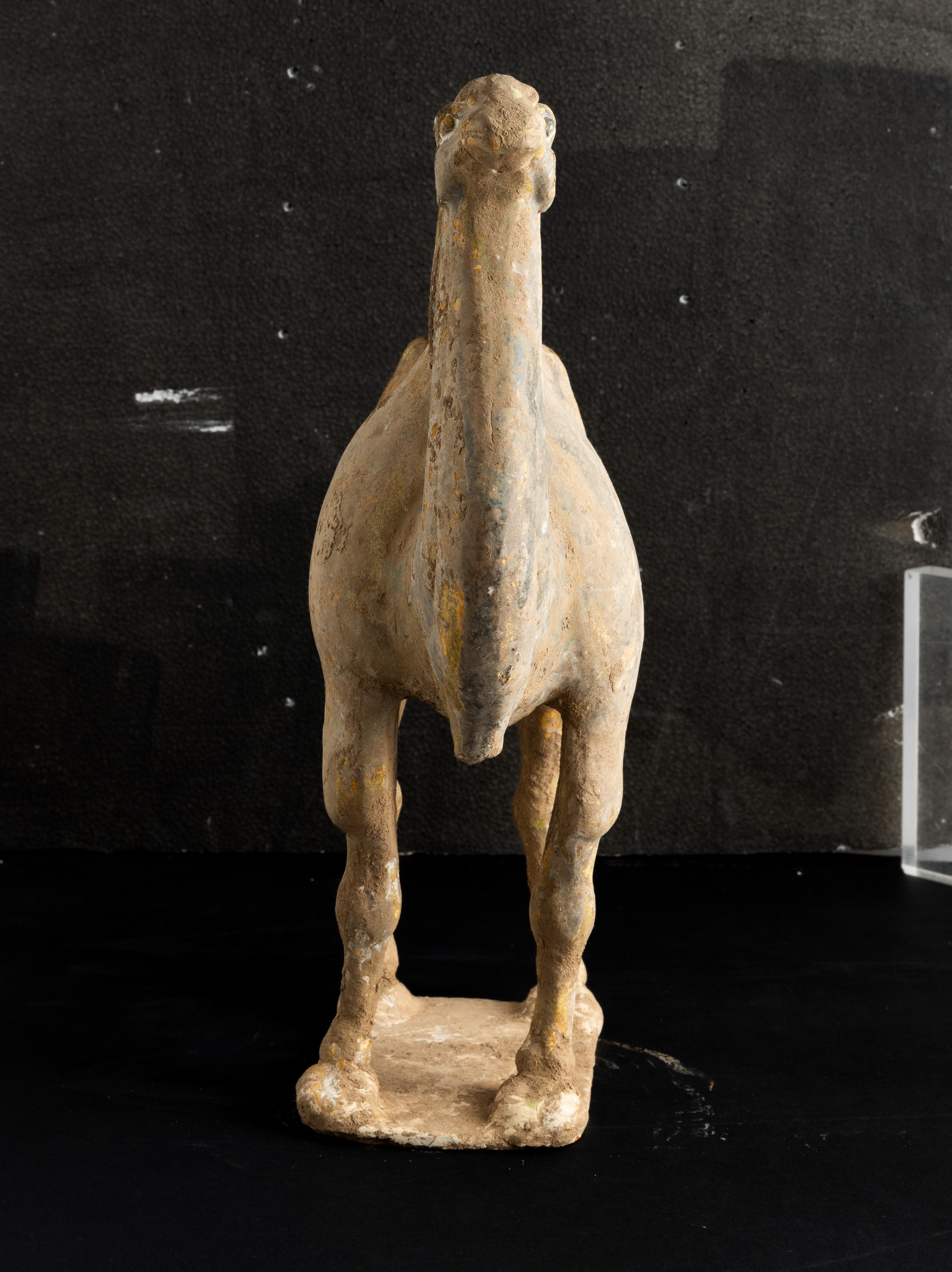 Figura di Cammello in Terracotta con Tracce di Policromia, Cina, Dinastia Tang (618-906)
