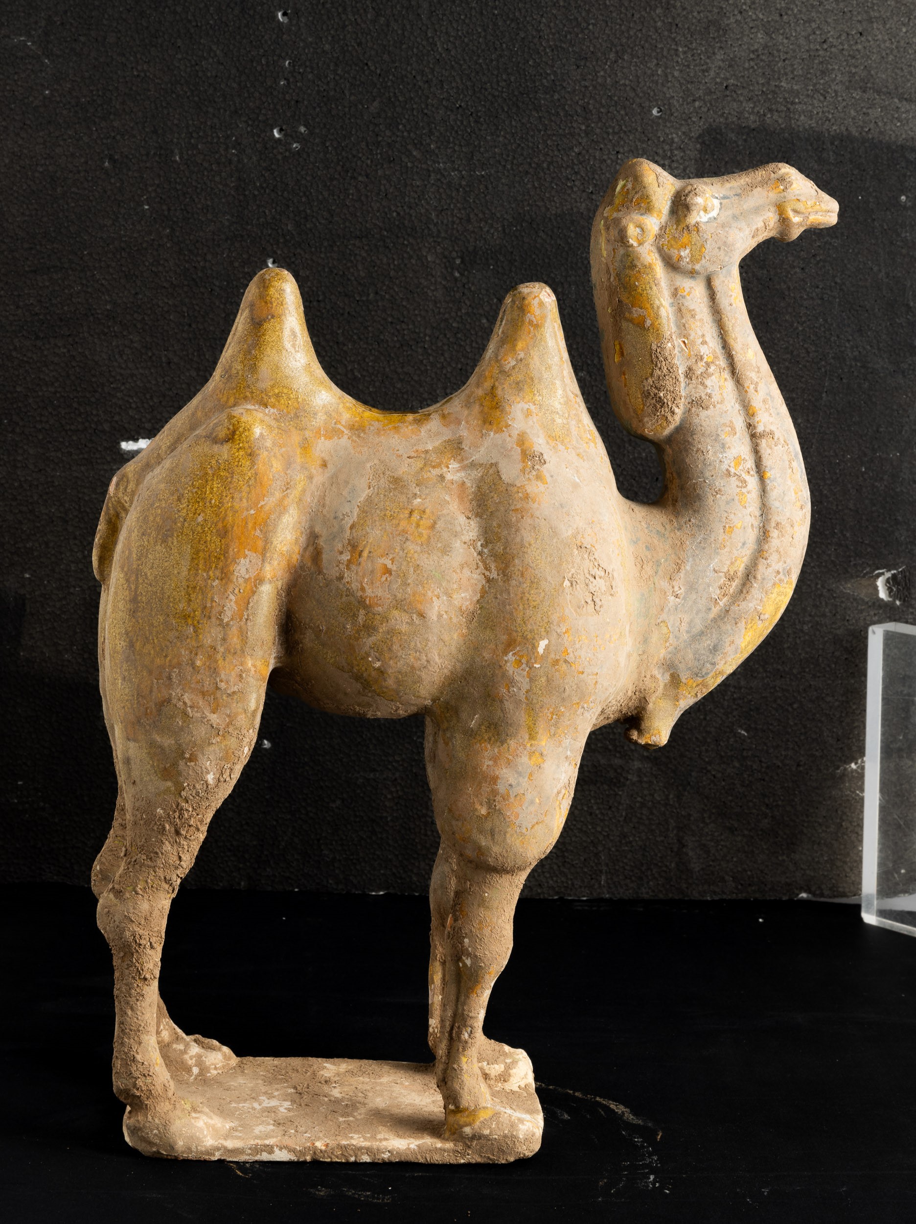 Figura di Cammello in Terracotta con Tracce di Policromia, Cina, Dinastia Tang (618-906)