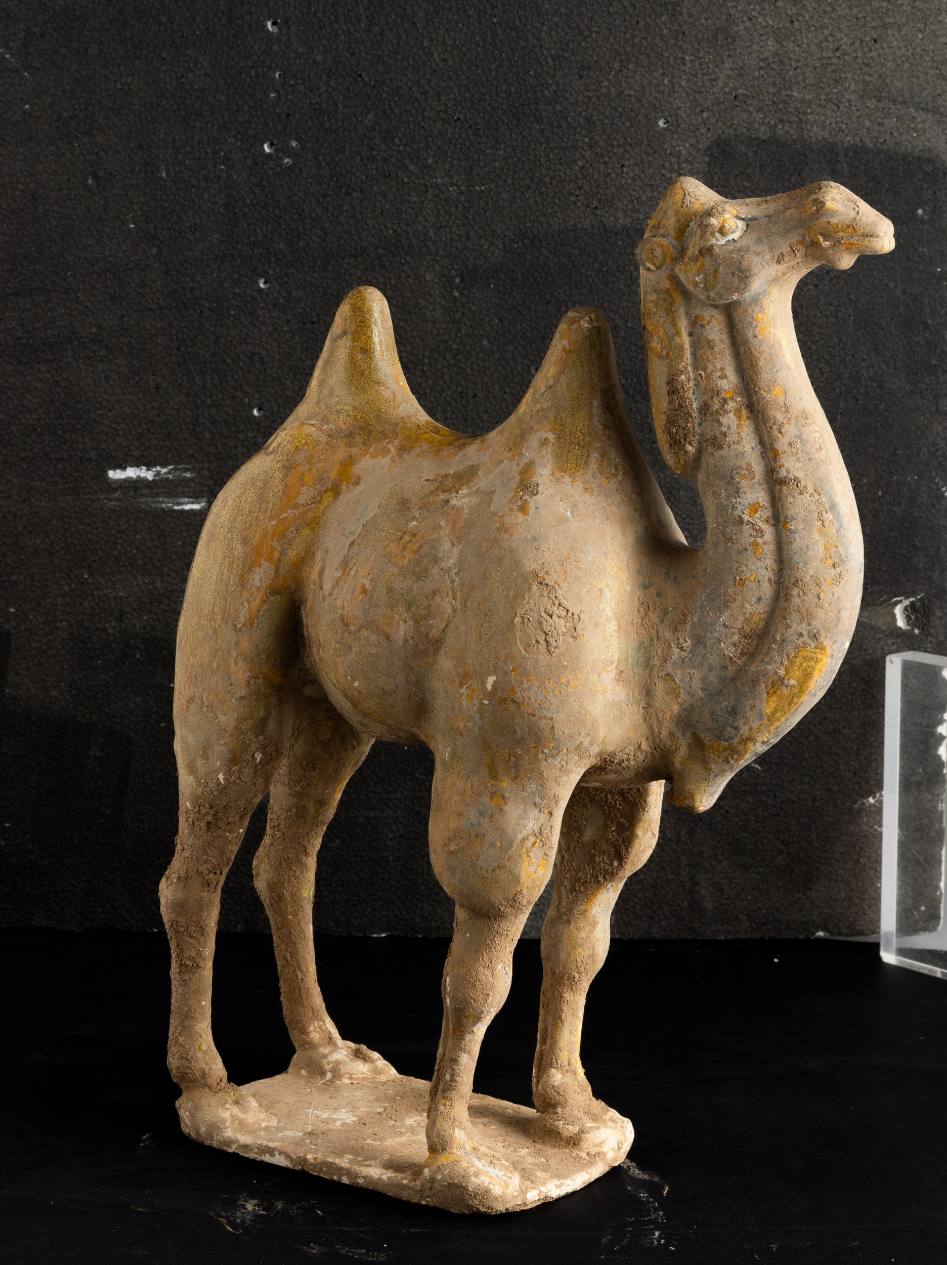Figura di Cammello in Terracotta con Tracce di Policromia, Cina, Dinastia Tang (618-906)