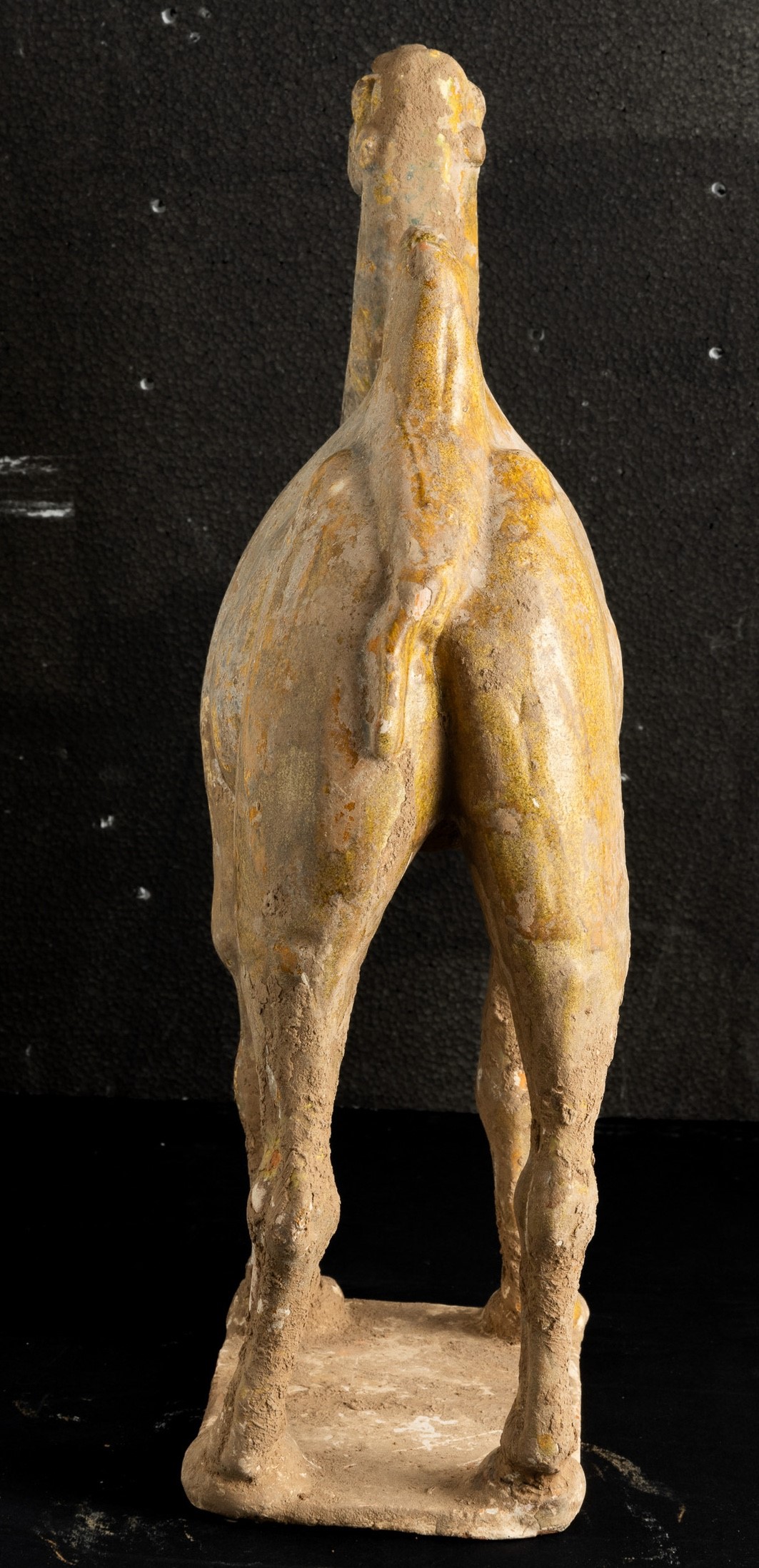 Figura di Cammello in Terracotta con Tracce di Policromia, Cina, Dinastia Tang (618-906)