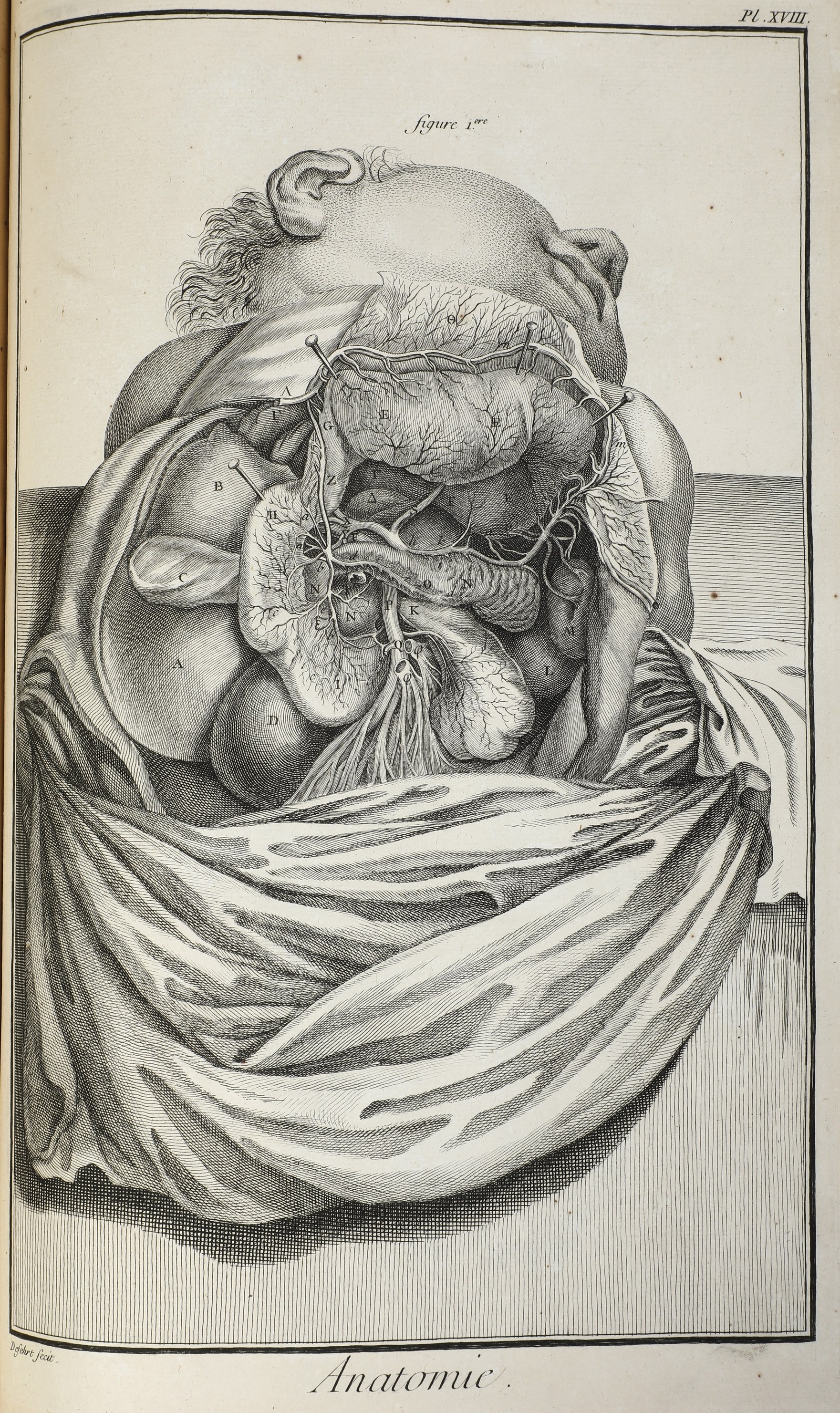 Diderot Denis (1713-1784) / D'alembert Jean Baptiste (1717-1783) Encyclopédie, Ou Dictionnaire Ra...