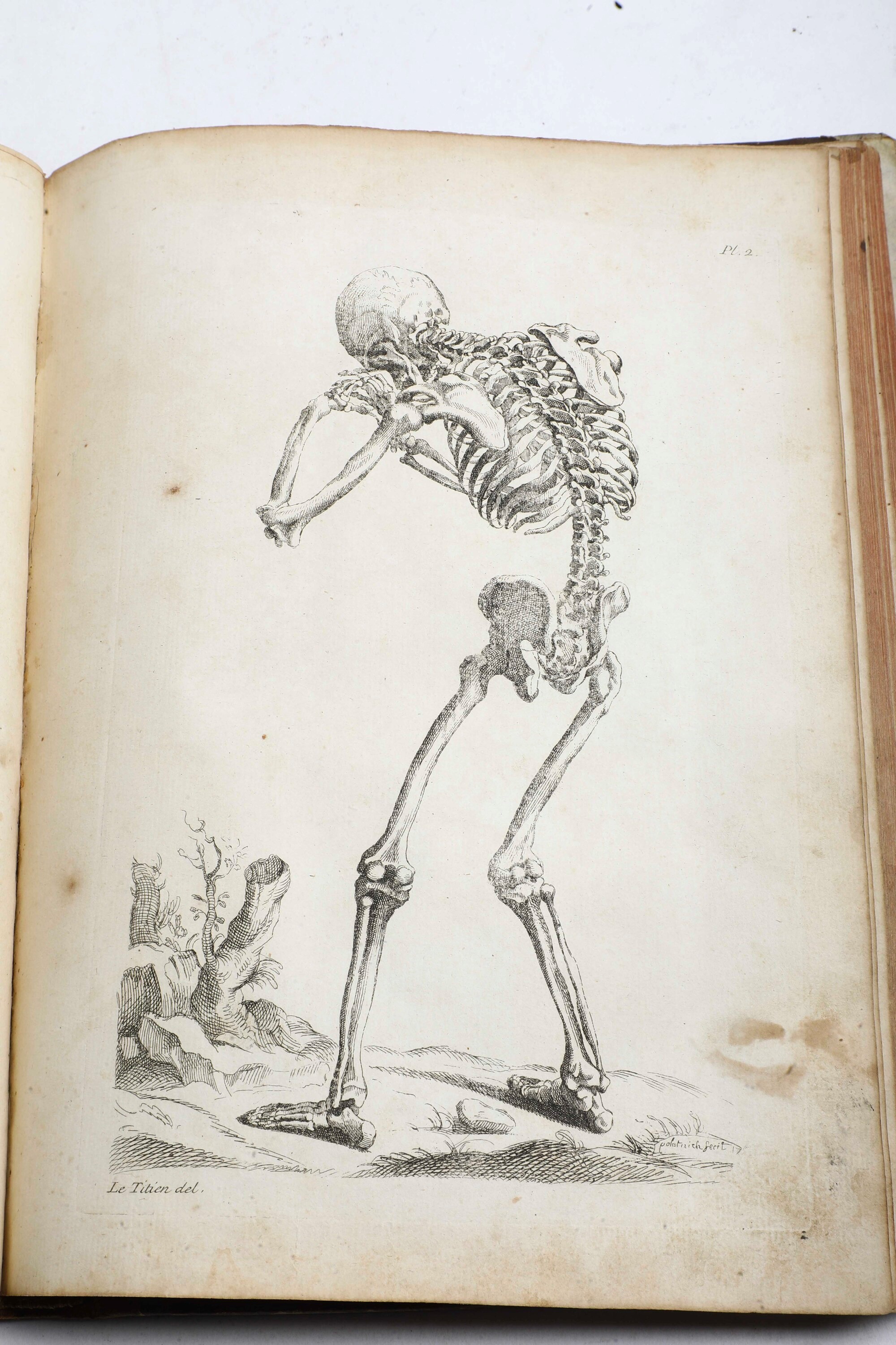 Jombert, Nouvelle Méthode Pour Apprendre à Dessiner Sans Maître, Parigi, 1799