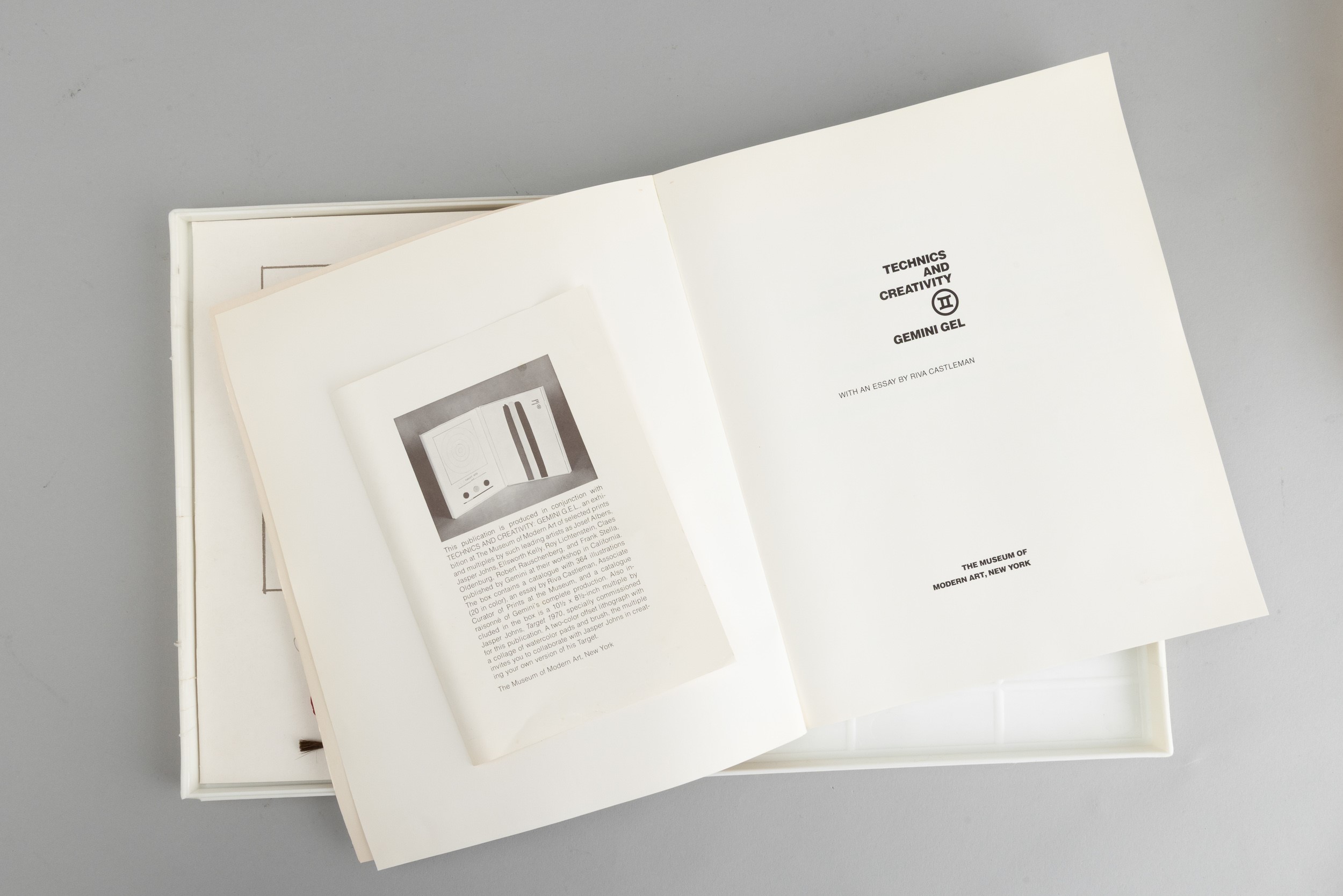Jasper Johns - Target - da Technics and Creativity, multiplo con litografia offset e acquerello