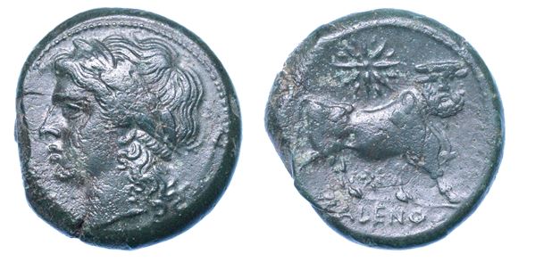 CAMPANIA - CALES. Bronzo, 317-280 a.C.