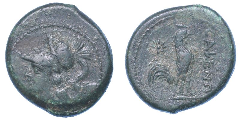 CAMPANIA - CALES. Bronzo, 265-240 a.C.  - Auction Numismatics - I - Cambi Casa d'Aste