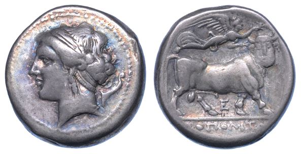 CAMPANIA - NEAPOLIS. Didracma, 275-250 a.C.