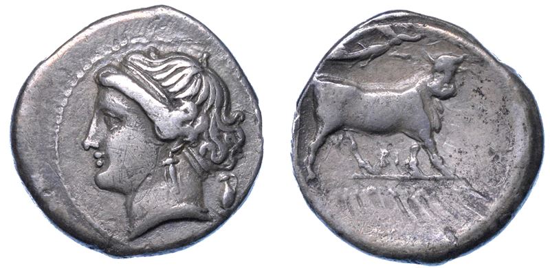 CAMPANIA - NEAPOLIS. Dracma, 275-250 a.C.  - Asta Numismatica - I - Cambi Casa d'Aste