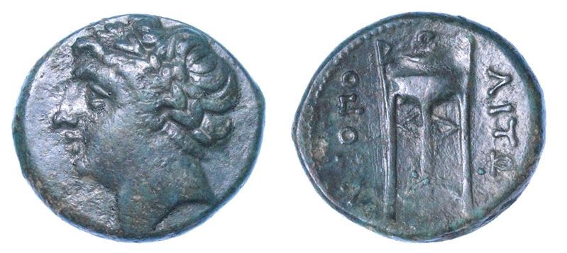 CAMPANIA - NEAPOLIS. Bronzo, 250-225 a.C.  - Auction Numismatics - I - Cambi Casa d'Aste
