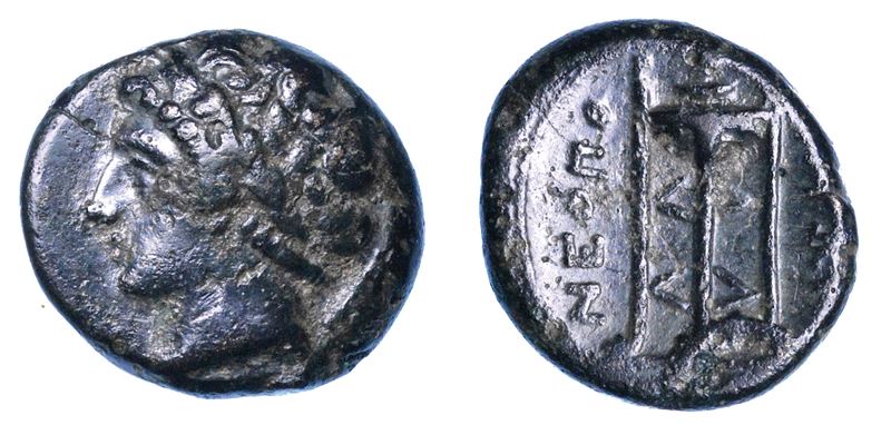 CAMPANIA - NEAPOLIS. Bronzo, 250-225 a.C.  - Auction Numismatics - I - Cambi Casa d'Aste