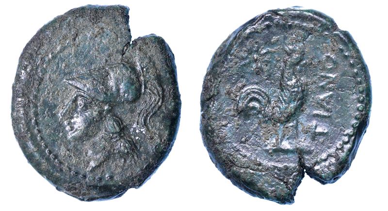 CAMPANIA - TEANUM SIDICINUM. Bronzo, 265-240 a.C.  - Auction Numismatics - I - Cambi Casa d'Aste