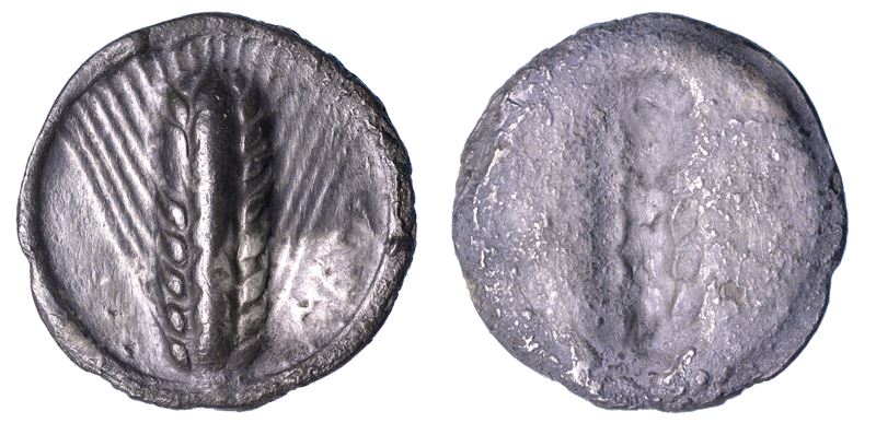 LUCANIA - METAPONTO. Nomos, VI-inizio V sec. a.C.  - Auction Numismatics - I - Cambi Casa d'Aste