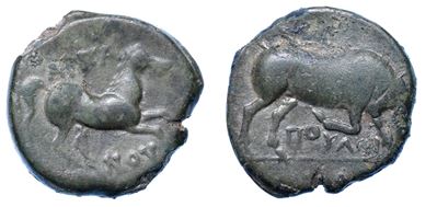Apulia - Arpi. Bronzo, 275-250 a.C.