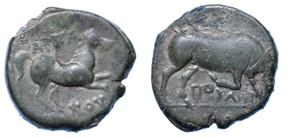 APULIA - ARPI. Bronzo, 275-250 a.C.