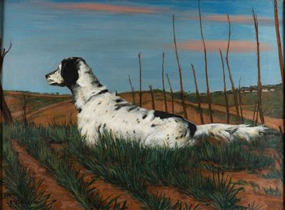 Cane da Caccia