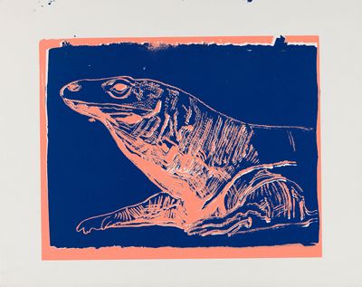 Vanishing Animals (Komodo Monitor), serigrafia su Lenox Museum Board