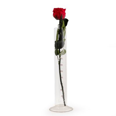 Rose for Direct Democracy, cilindro graduato in vetro, 1973