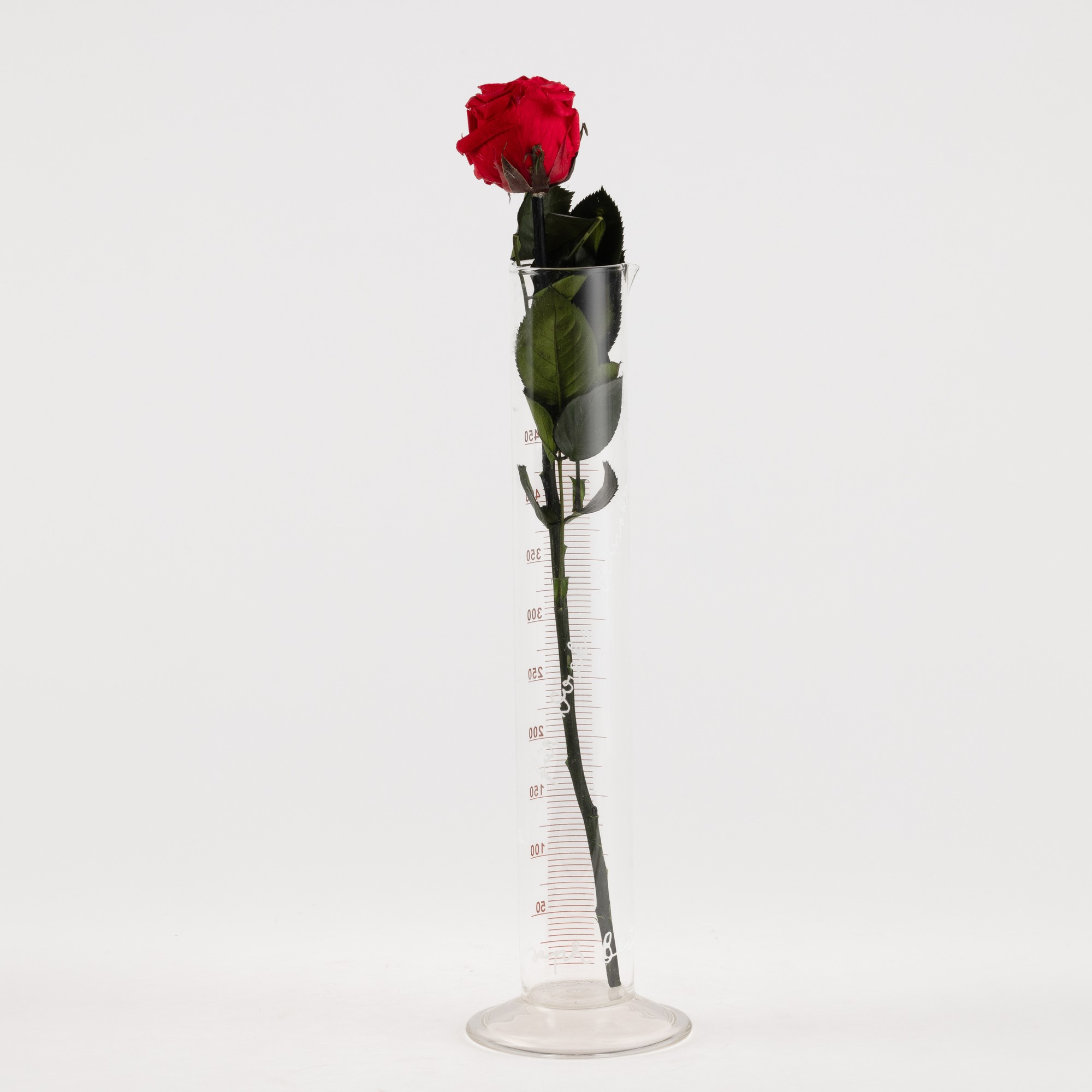 Joseph Beuys - Rose for Direct Democracy, cilindro graduato in vetro, 1973