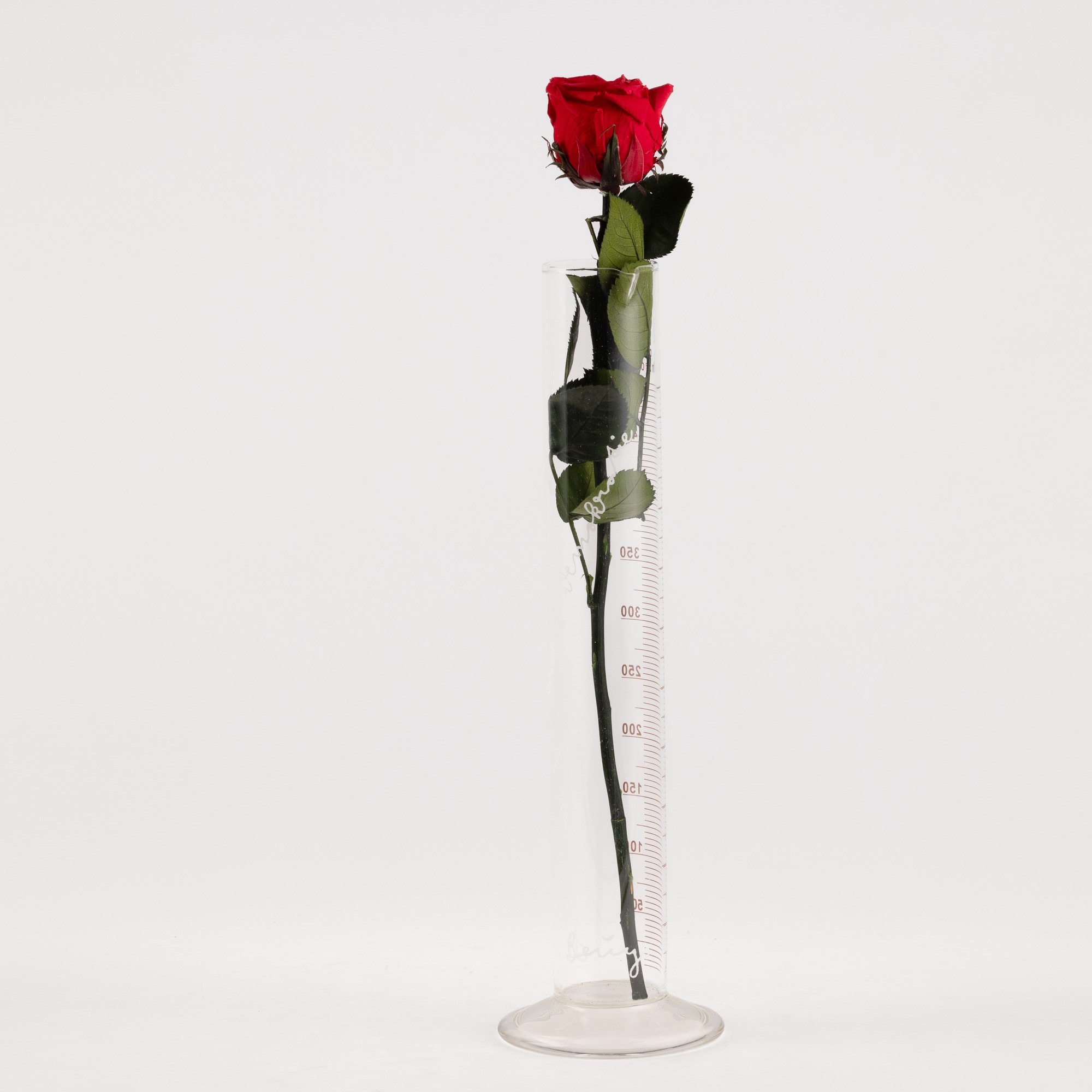Joseph Beuys - Rose for Direct Democracy, cilindro graduato in vetro, 1973