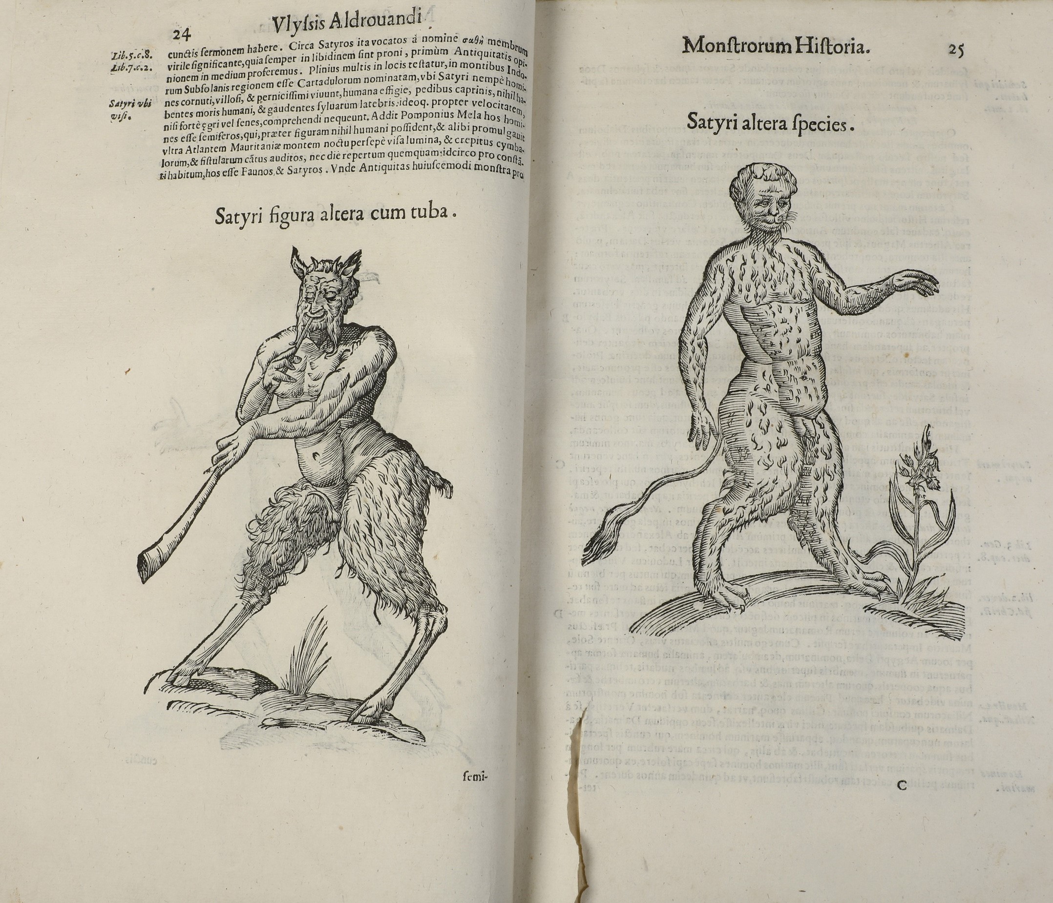 Aldrovandi Ulisse (1522-1605) Raccolta di Opere di Scienze Naturali