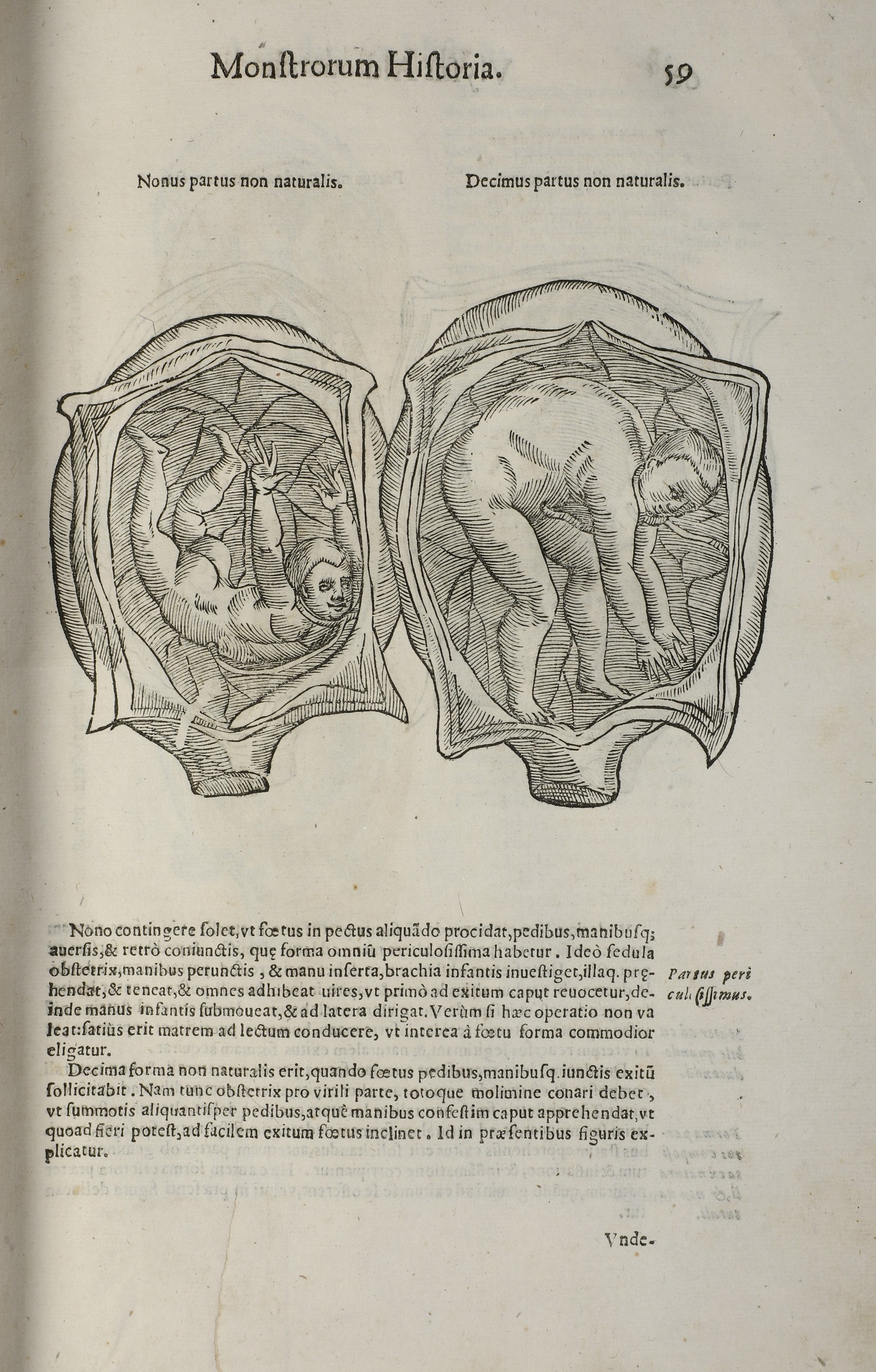 Aldrovandi Ulisse (1522-1605) Raccolta di Opere di Scienze Naturali