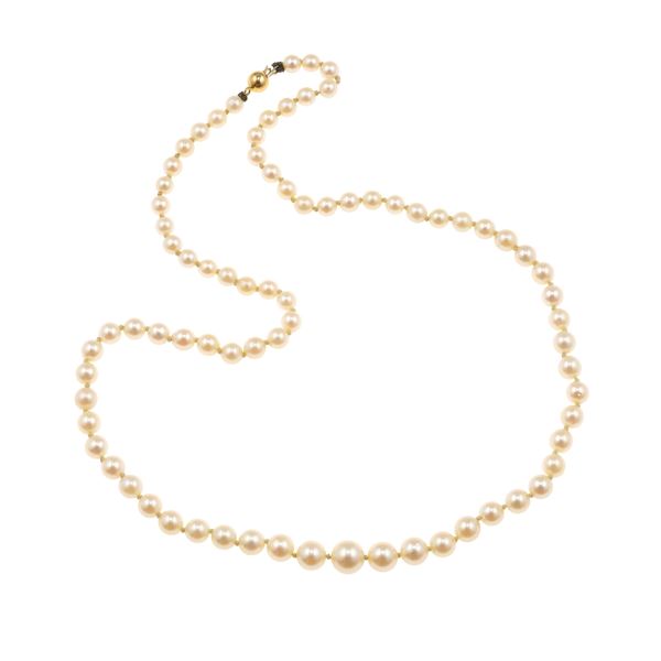 Collana con perle coltivate