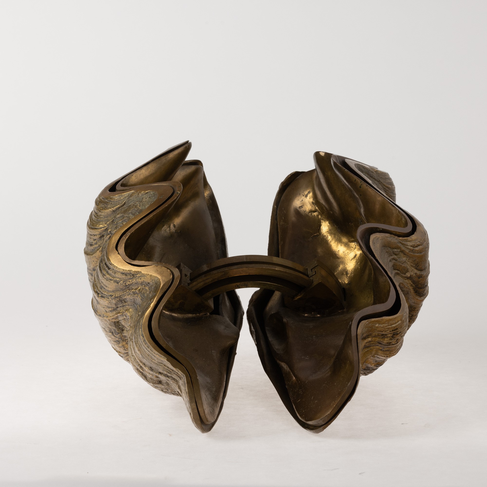 Rotella gigantea - scultura in metallo