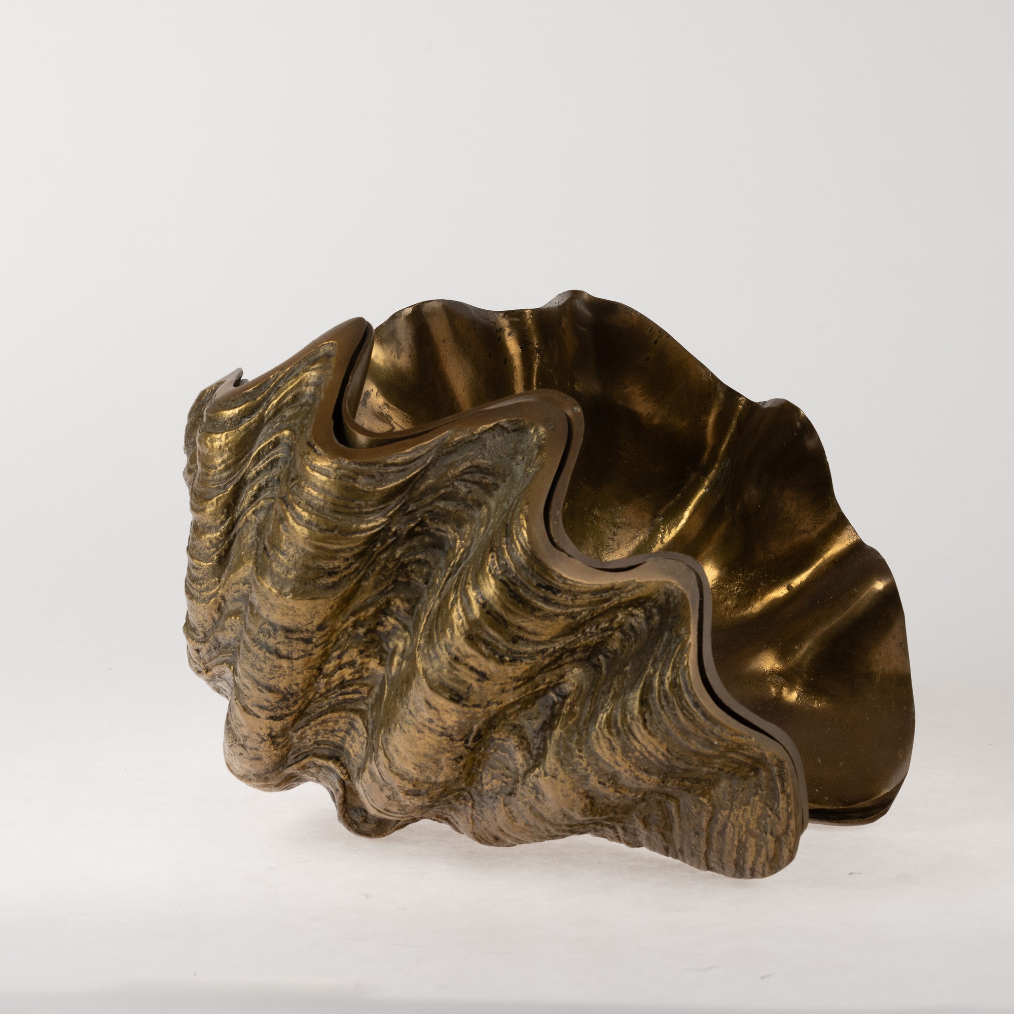 Rotella gigantea - scultura in metallo