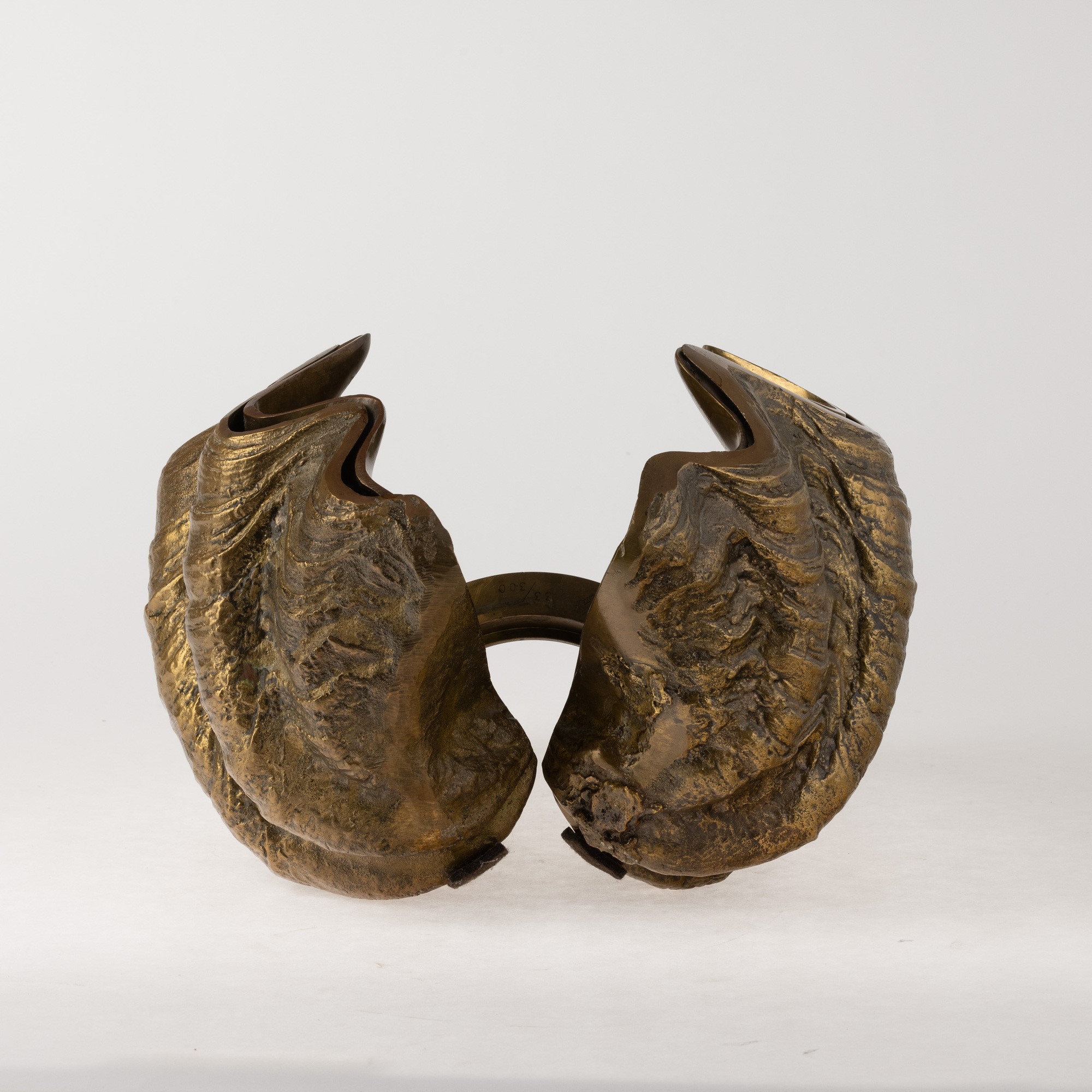 Rotella gigantea - scultura in metallo