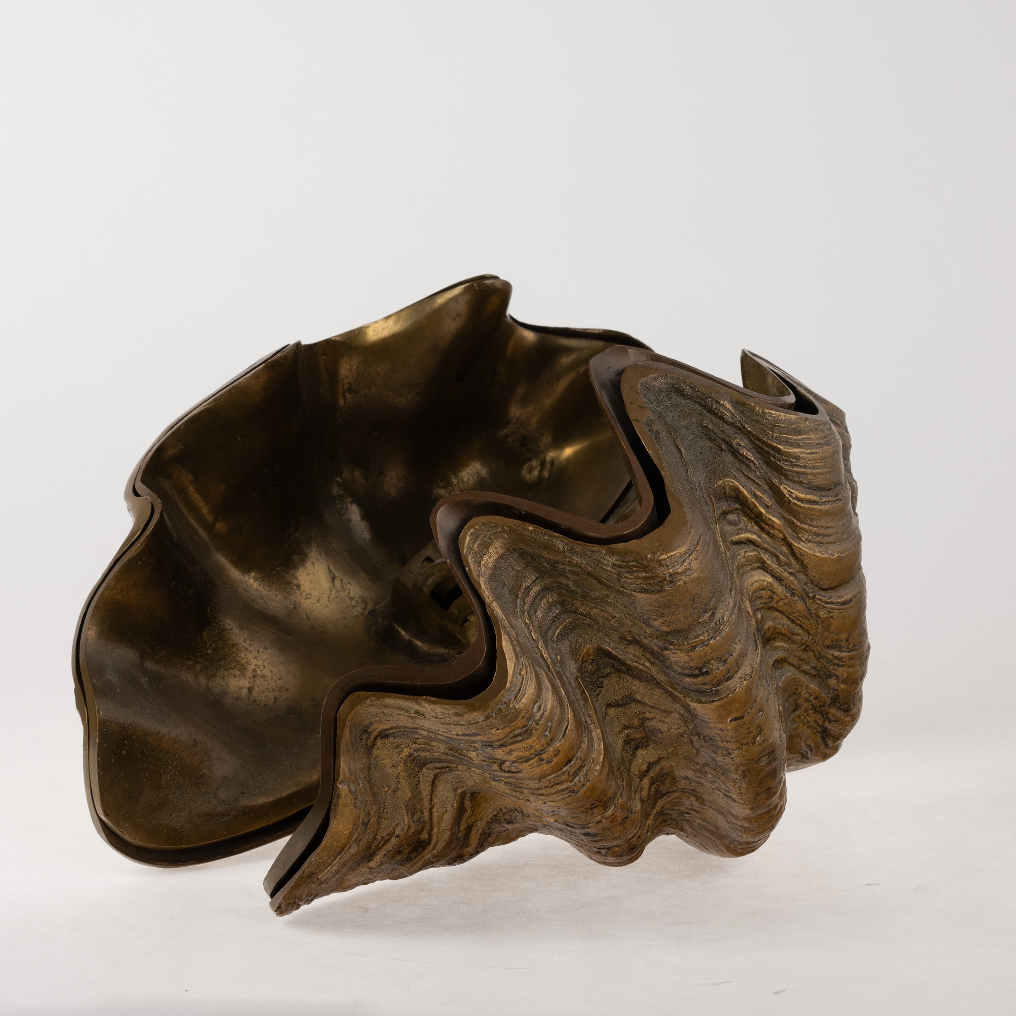 Rotella gigantea - scultura in metallo