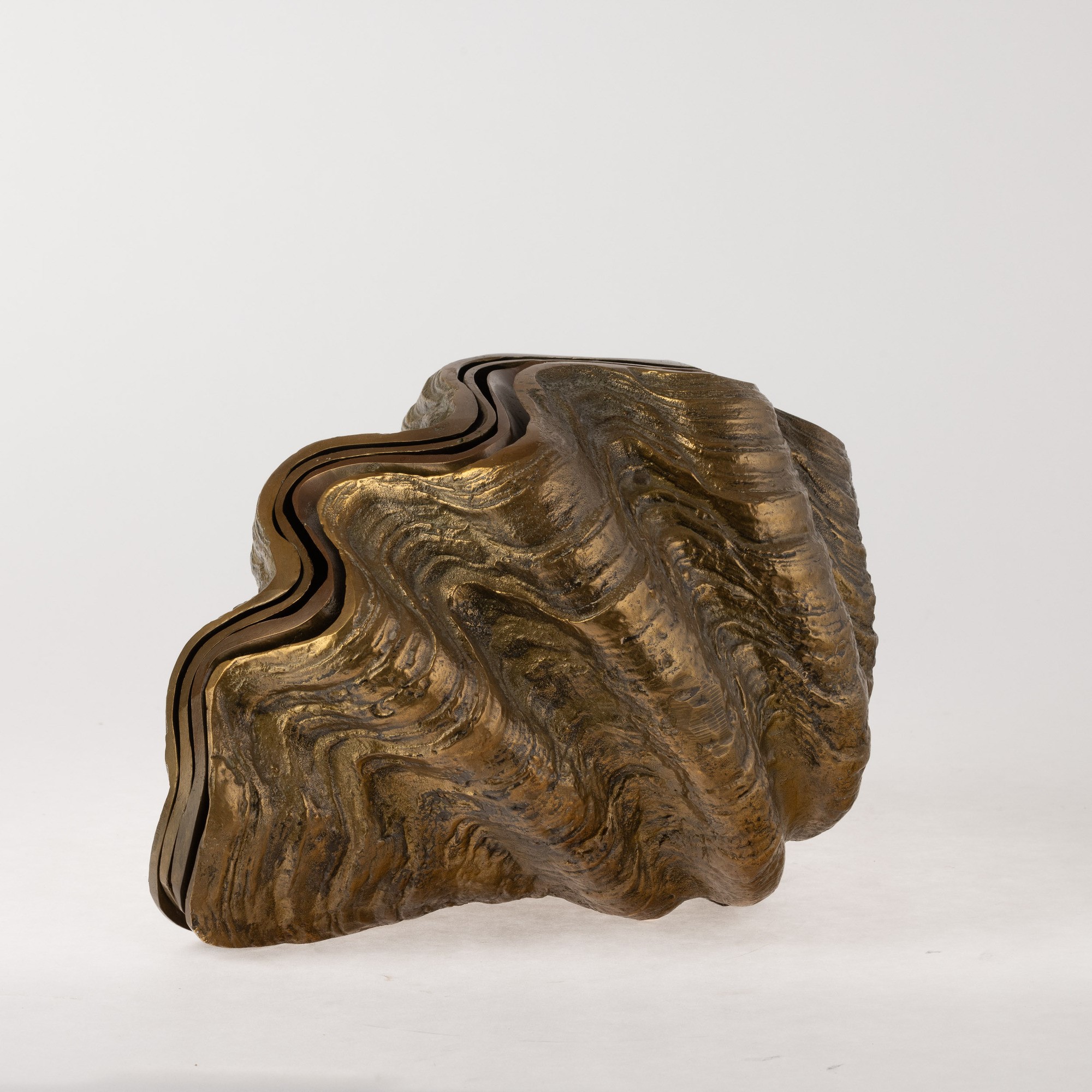 Rotella gigantea - scultura in metallo