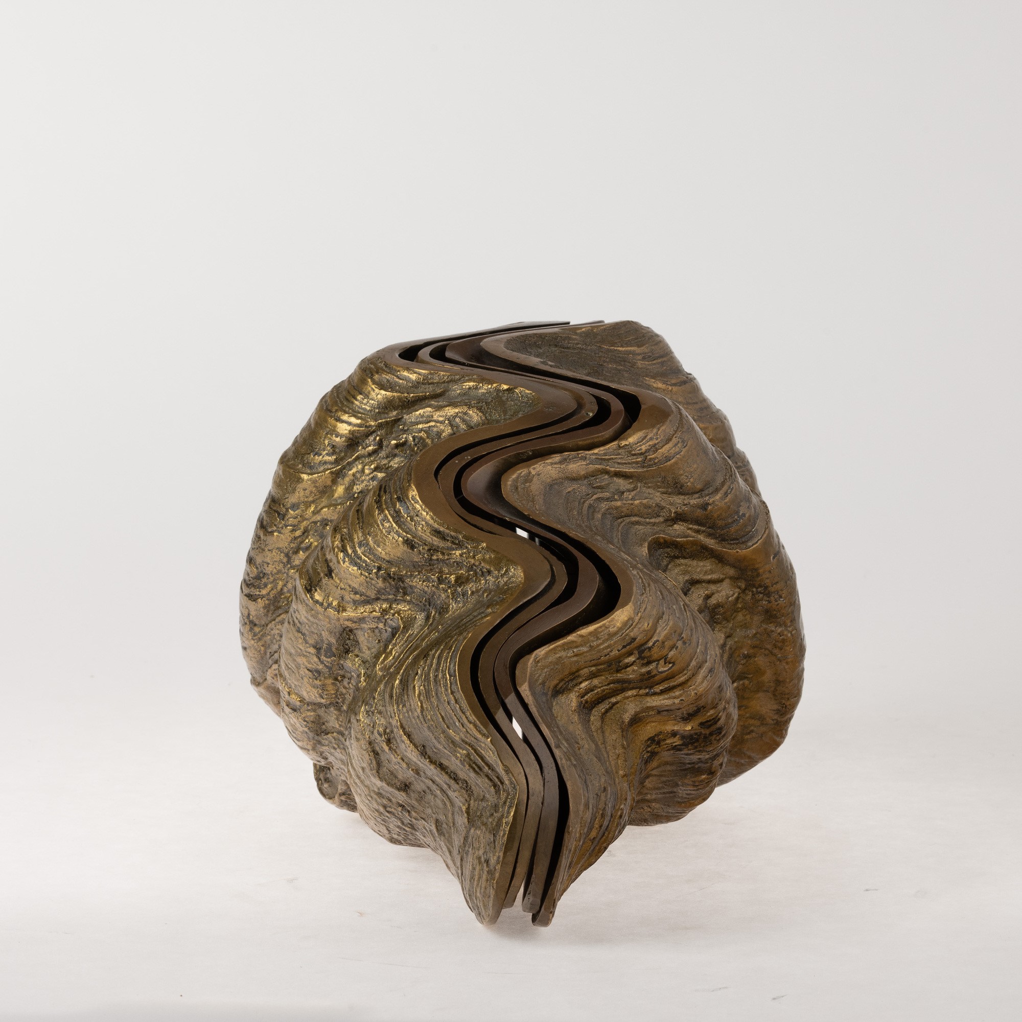 Rotella gigantea - scultura in metallo