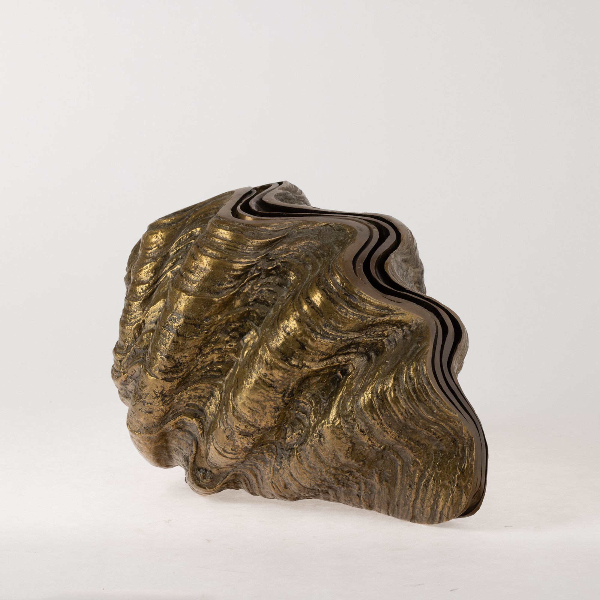 Rotella gigantea - scultura in metallo