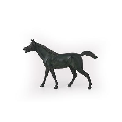 XX secolo, Cavallo