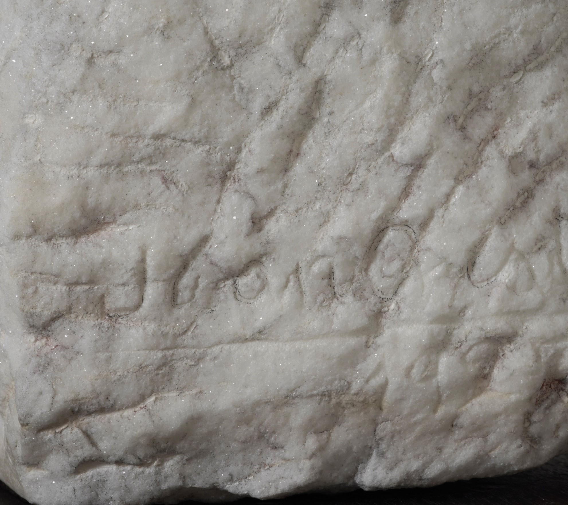 Anonimo, Busto femminile in marmo bianco