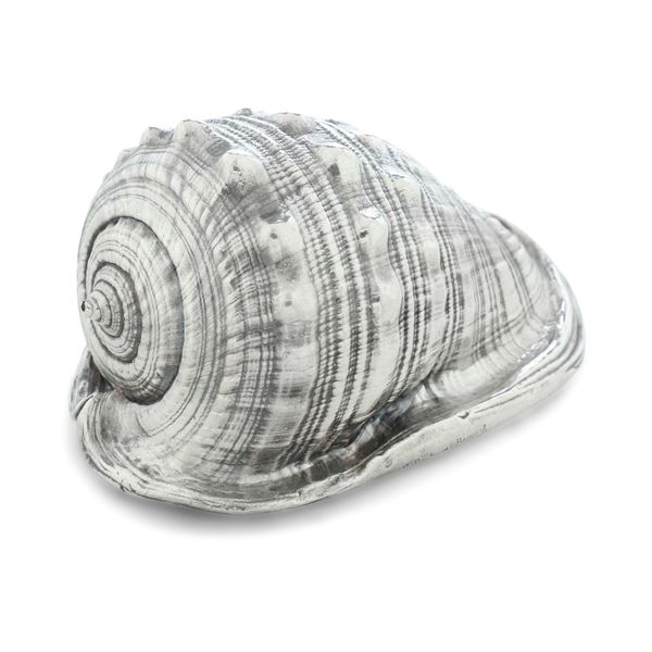 Conchiglia in argento. Manifattura italiana del XX secolo