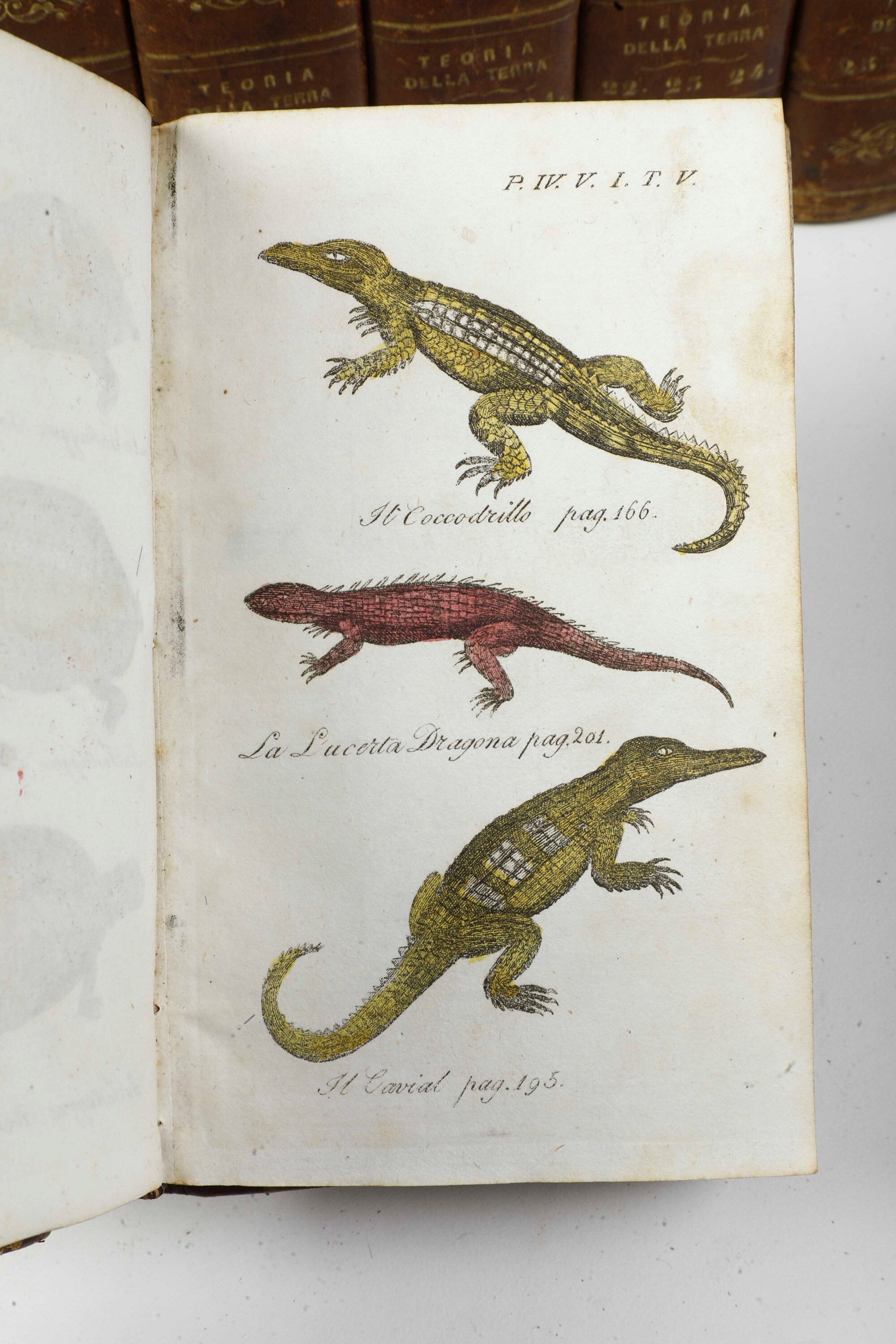 Leclerc Georges Louis Marie, Comte De Buffon (1707-1788) le Opere... con Addizione di Lacèpedenap...