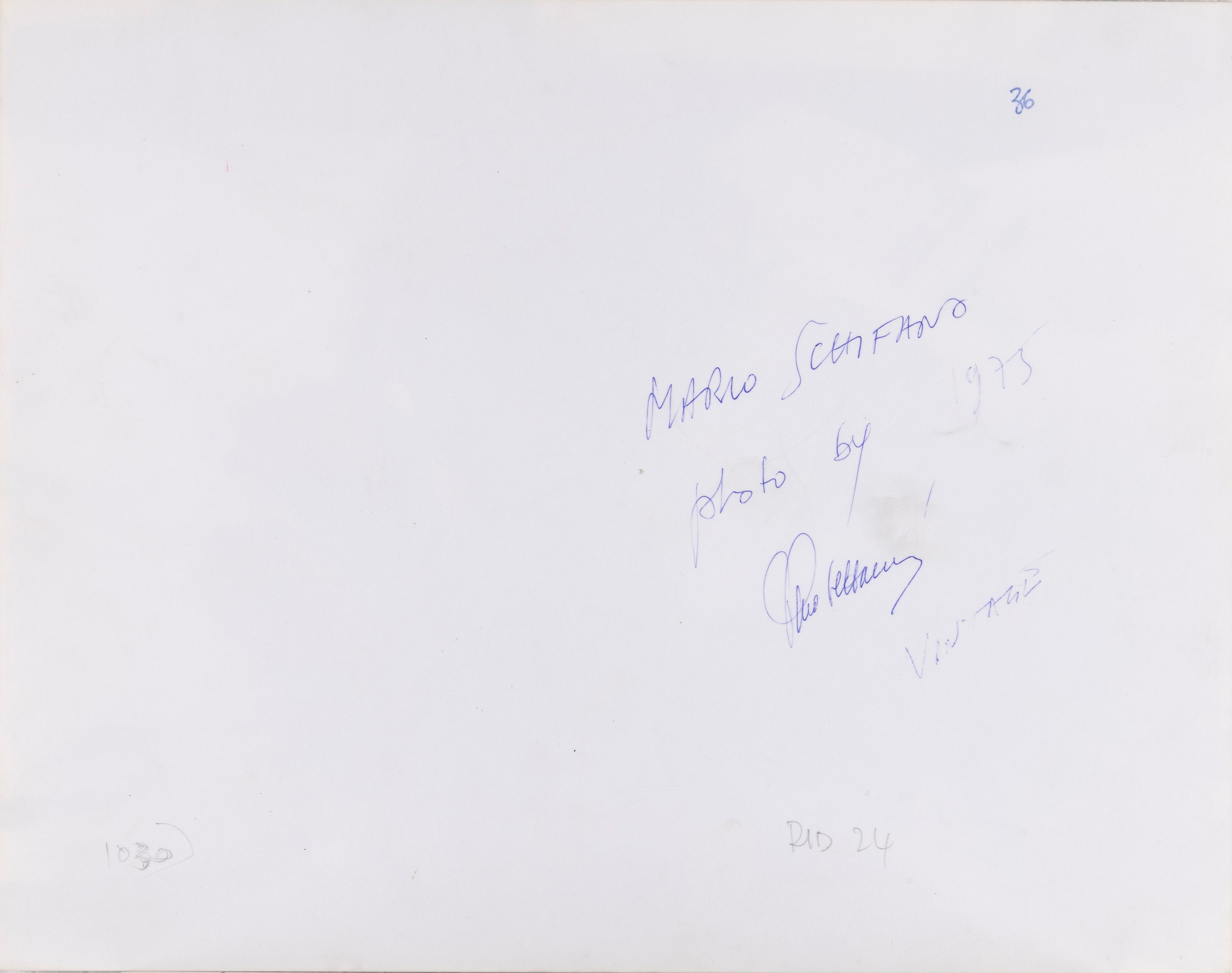 Pino Settanni - Mario Schifano
