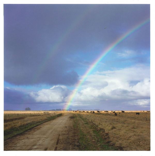 The Way Back. Buenos Aires Province, Argentina