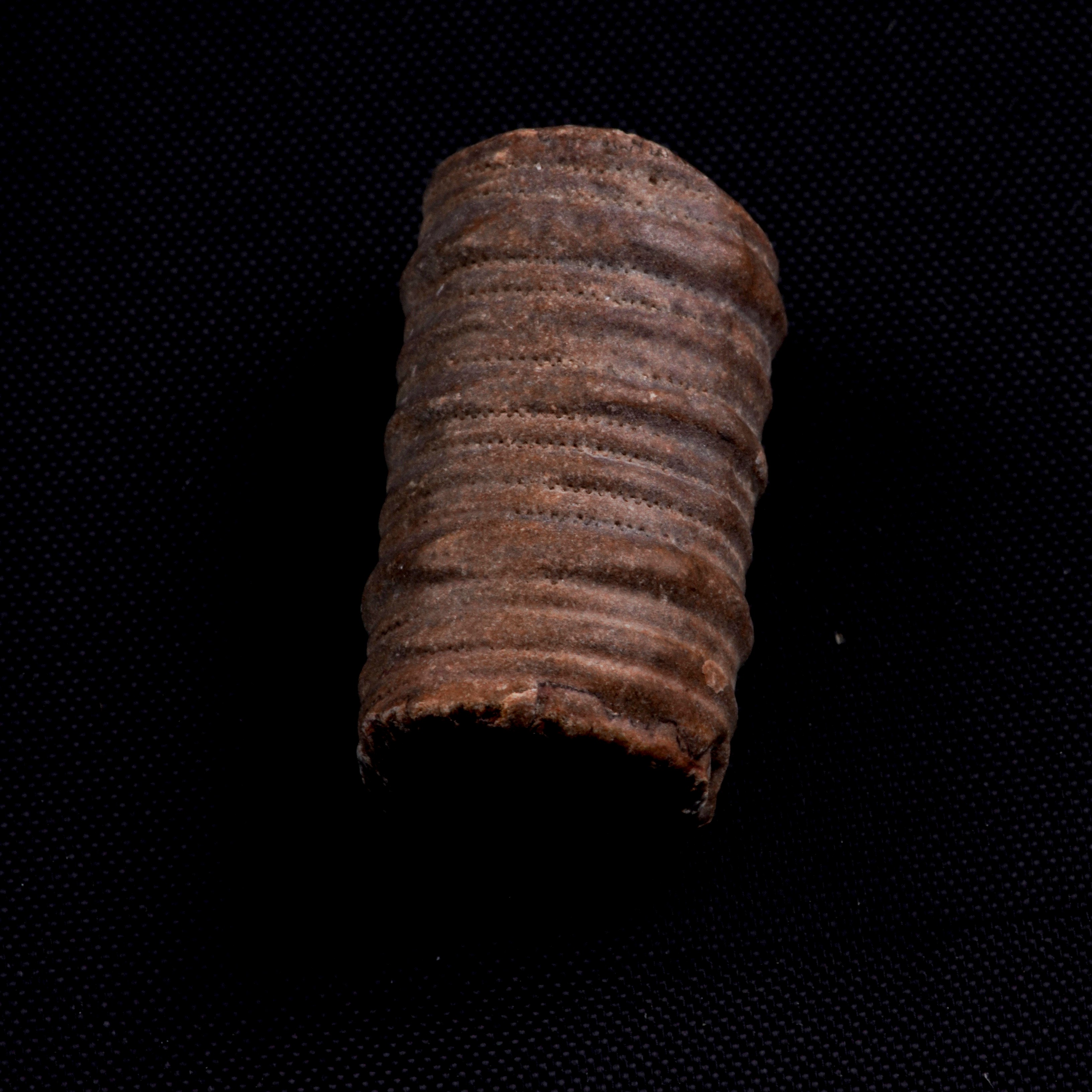 Mosasauro Sp. Pezzi Fossili. Due Denti Senza Radica, una Rdice di Dente, una Vertebra. (cretacico...